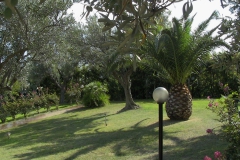 Giardino 2