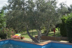 Giardino+Piscina